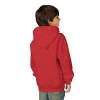 Red Julius Culture Collective Graphic Youth Hoodie — Smiley Logo